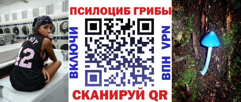 Купить где  Буйнакск  Галлюциногенные грибы мухоморы 