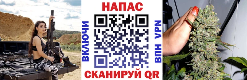 Каннабис сатива  Купить  Буйнакск 